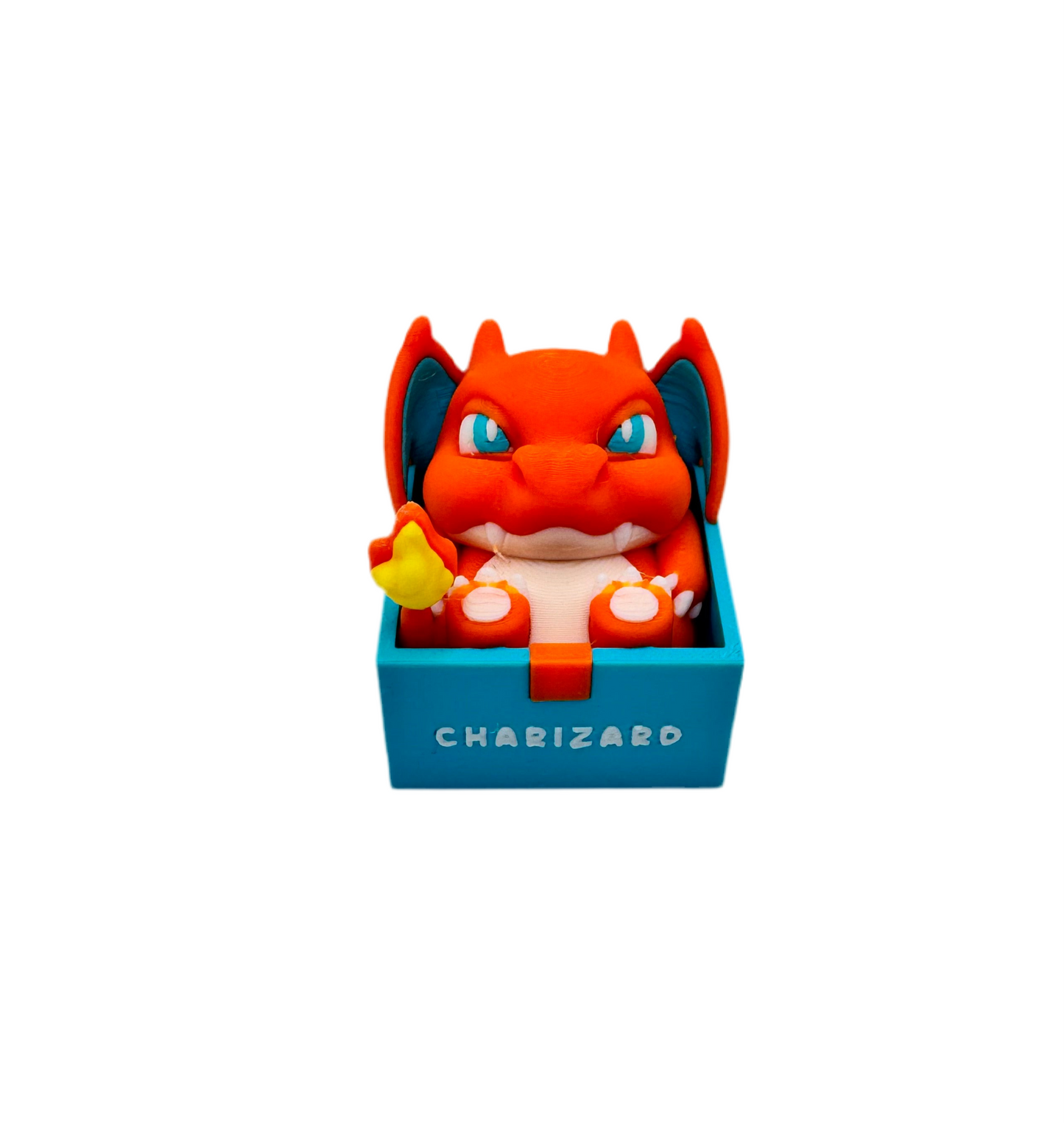 Boxed Chubby Pokemon