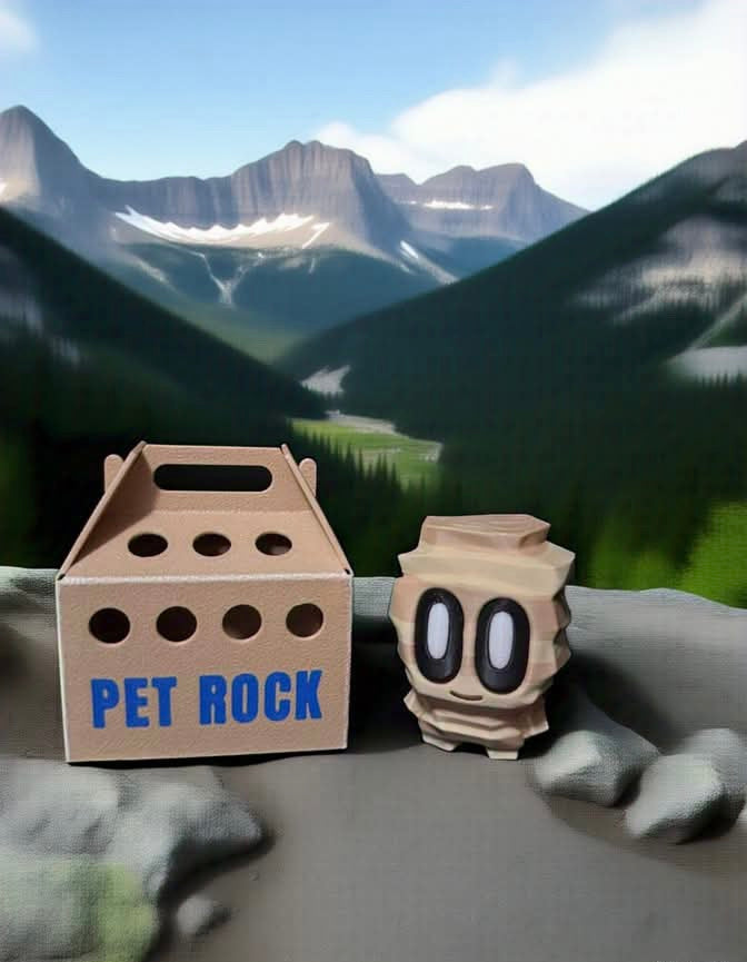 Pet Rocks