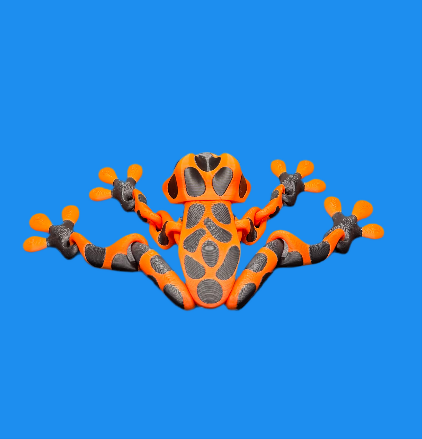 Frog Magnetic