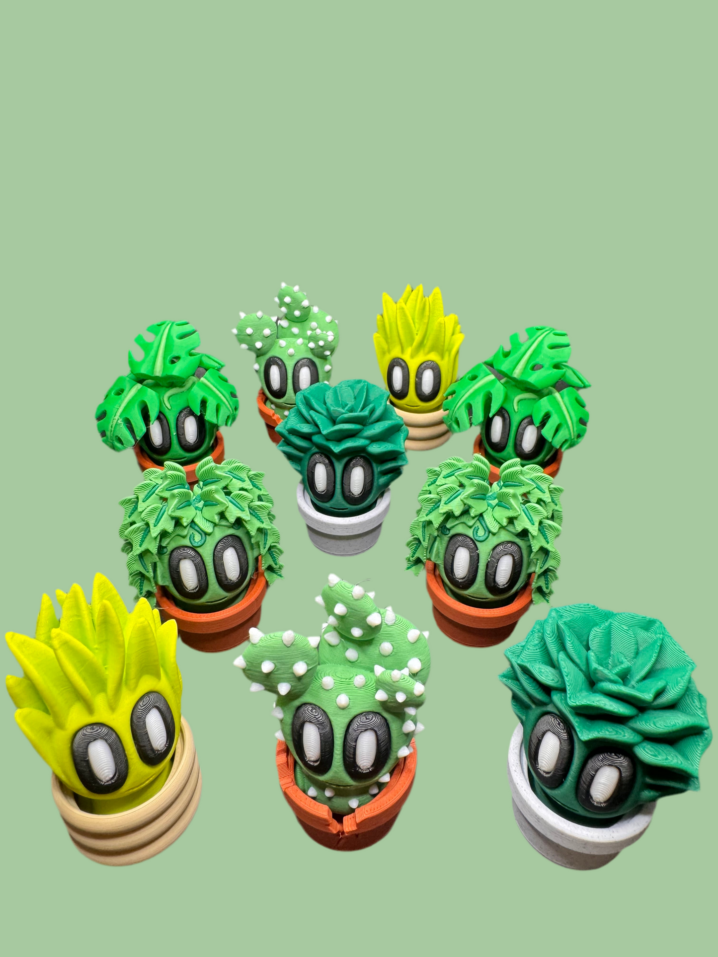 Bob Plants