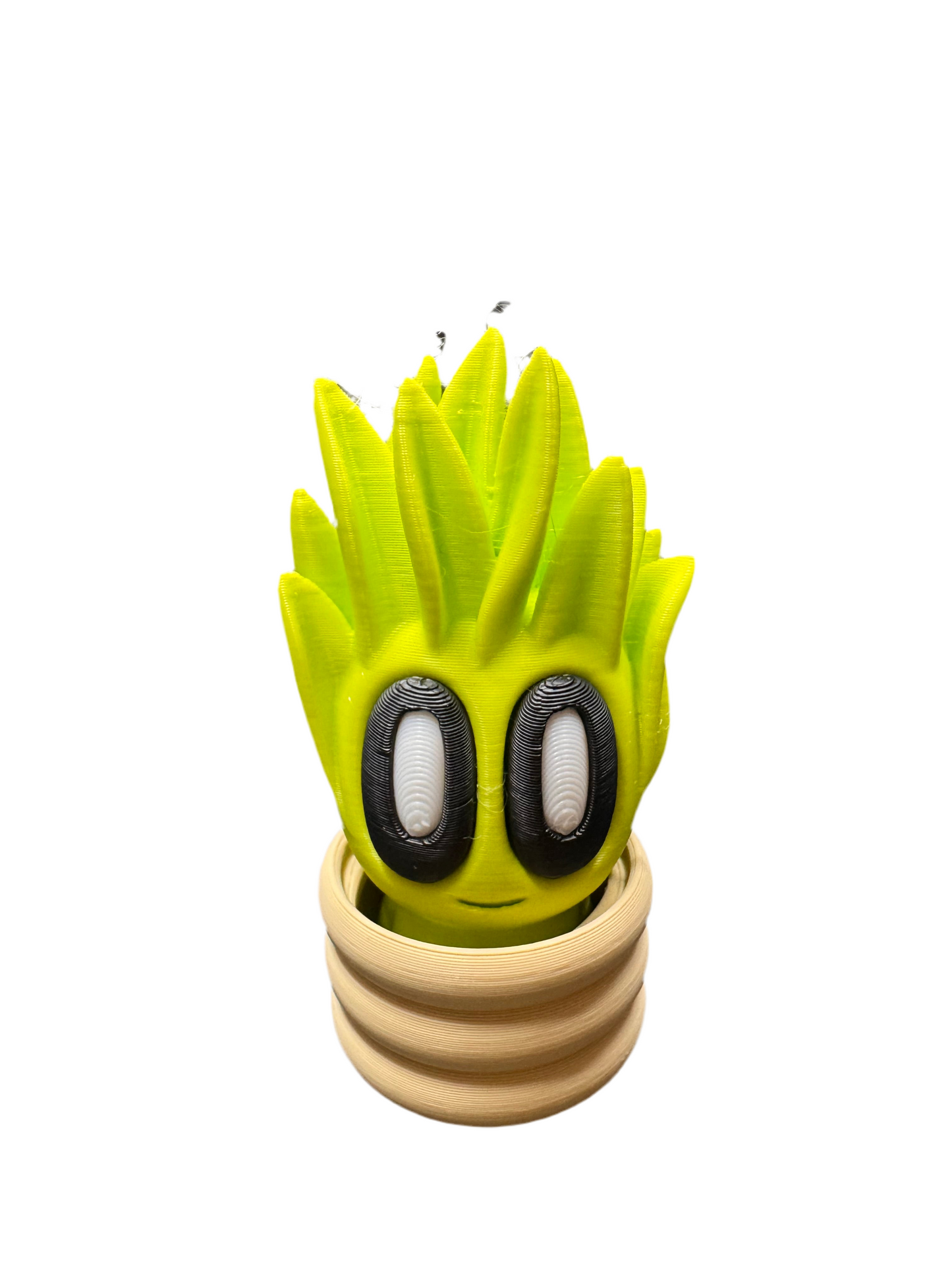Bob Plants