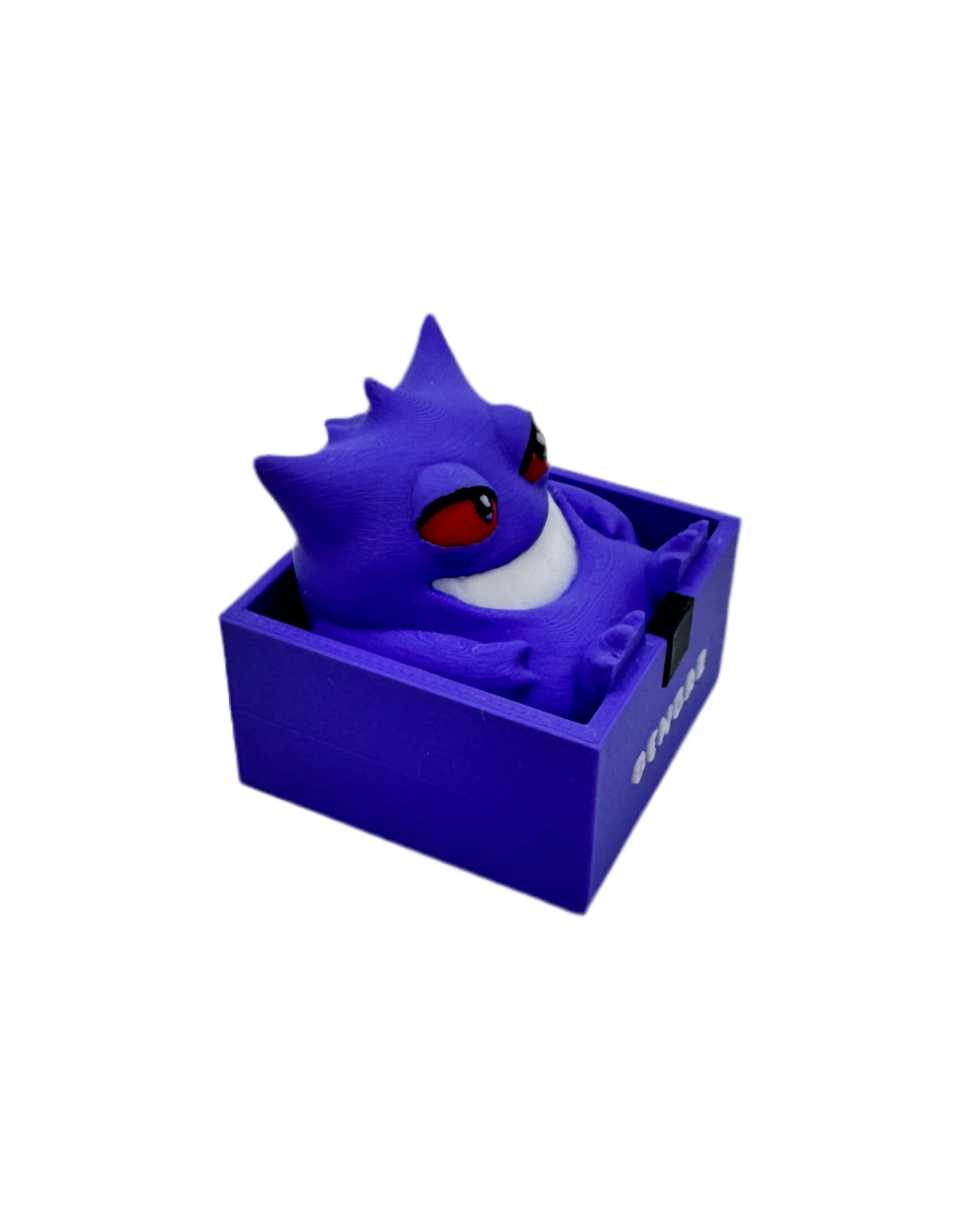 Boxed Chubby Pokemon