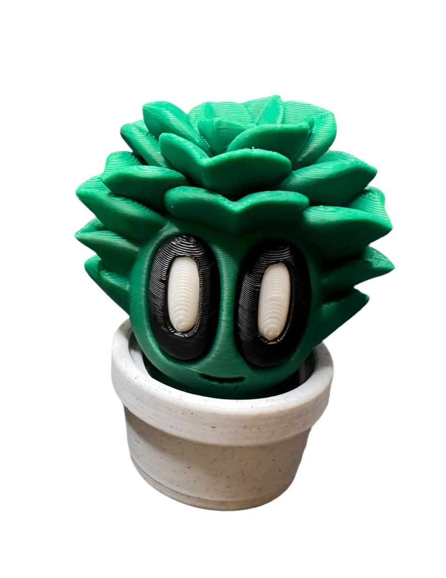 Bob Plants