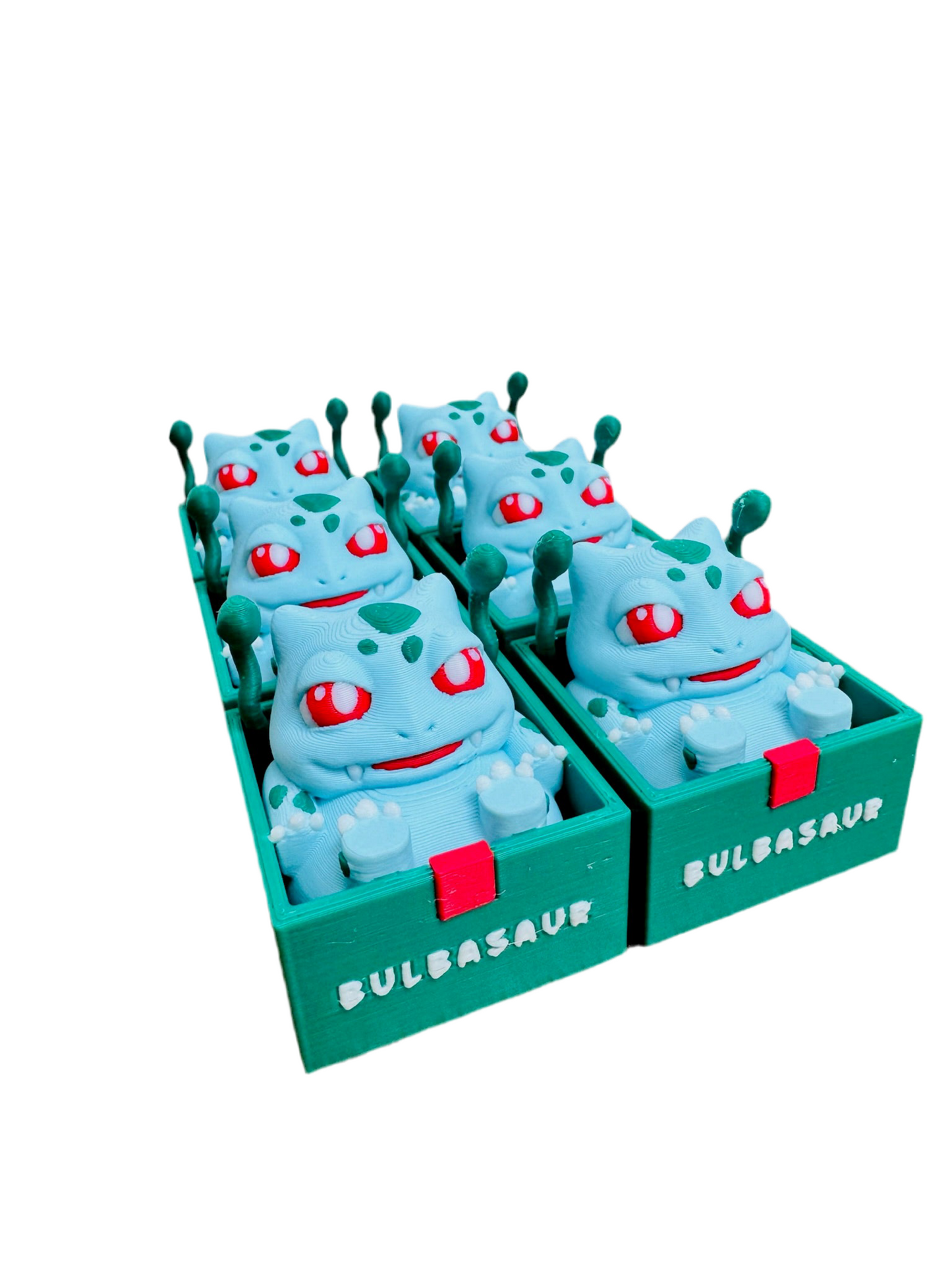 Boxed Chubby Pokemon