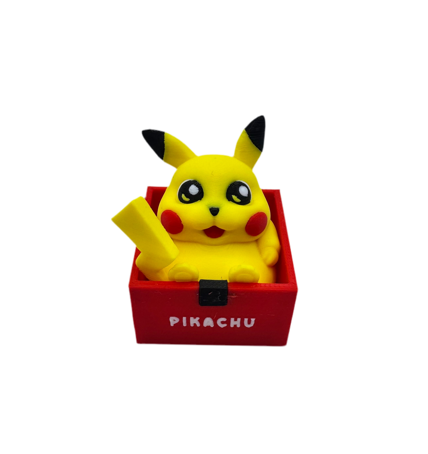 Boxed Chubby Pokemon