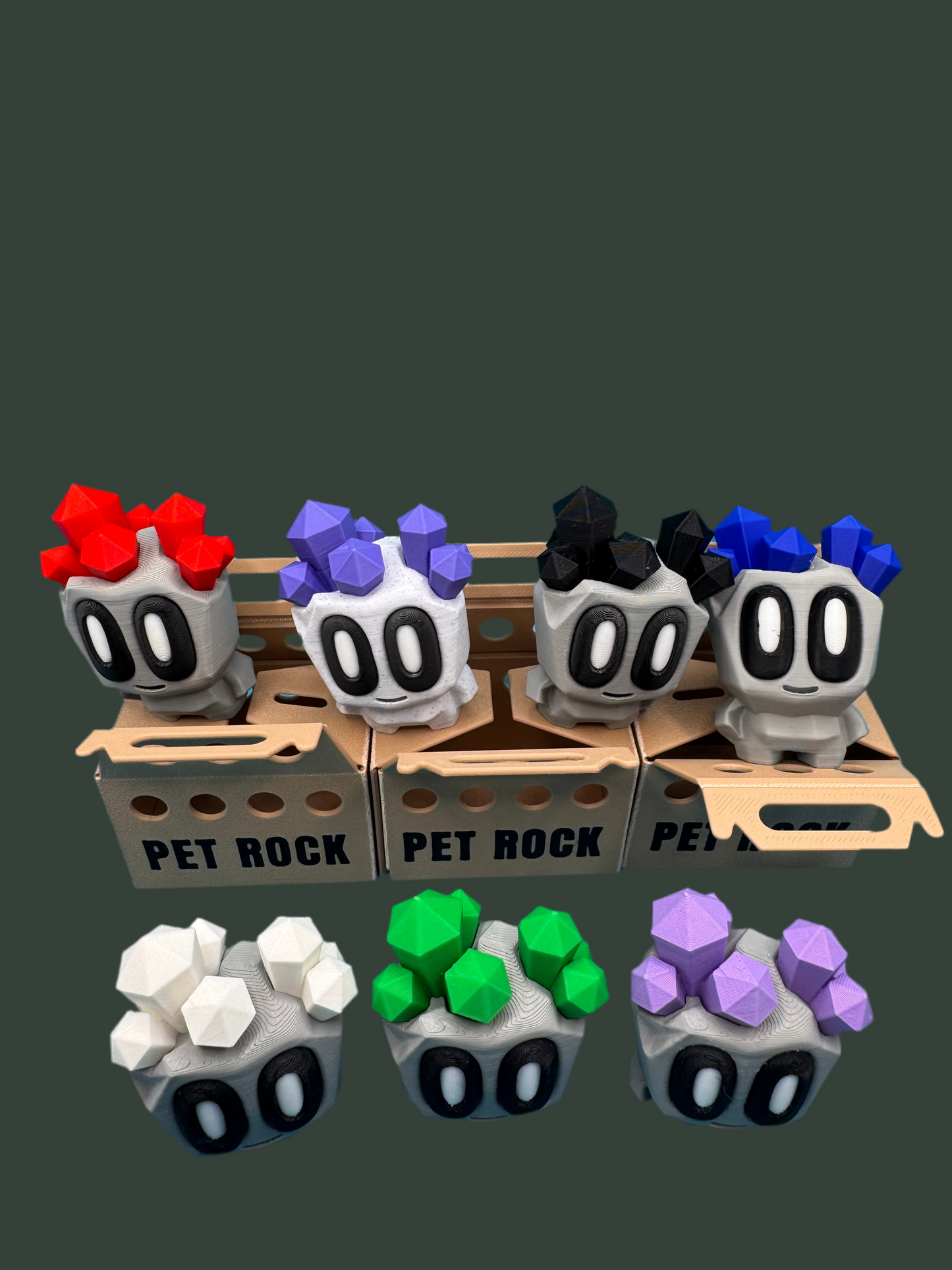 Pet Rocks