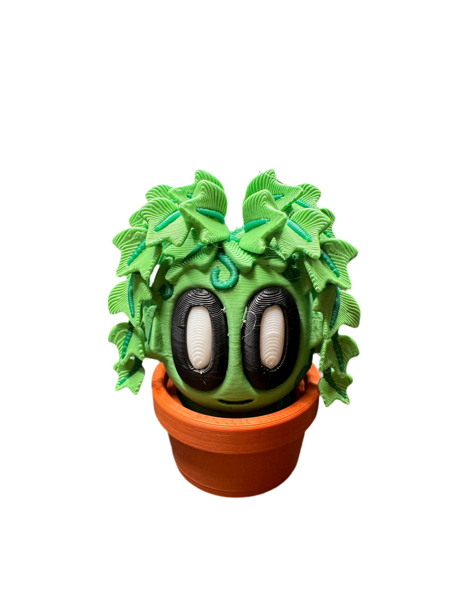 Bob Plants