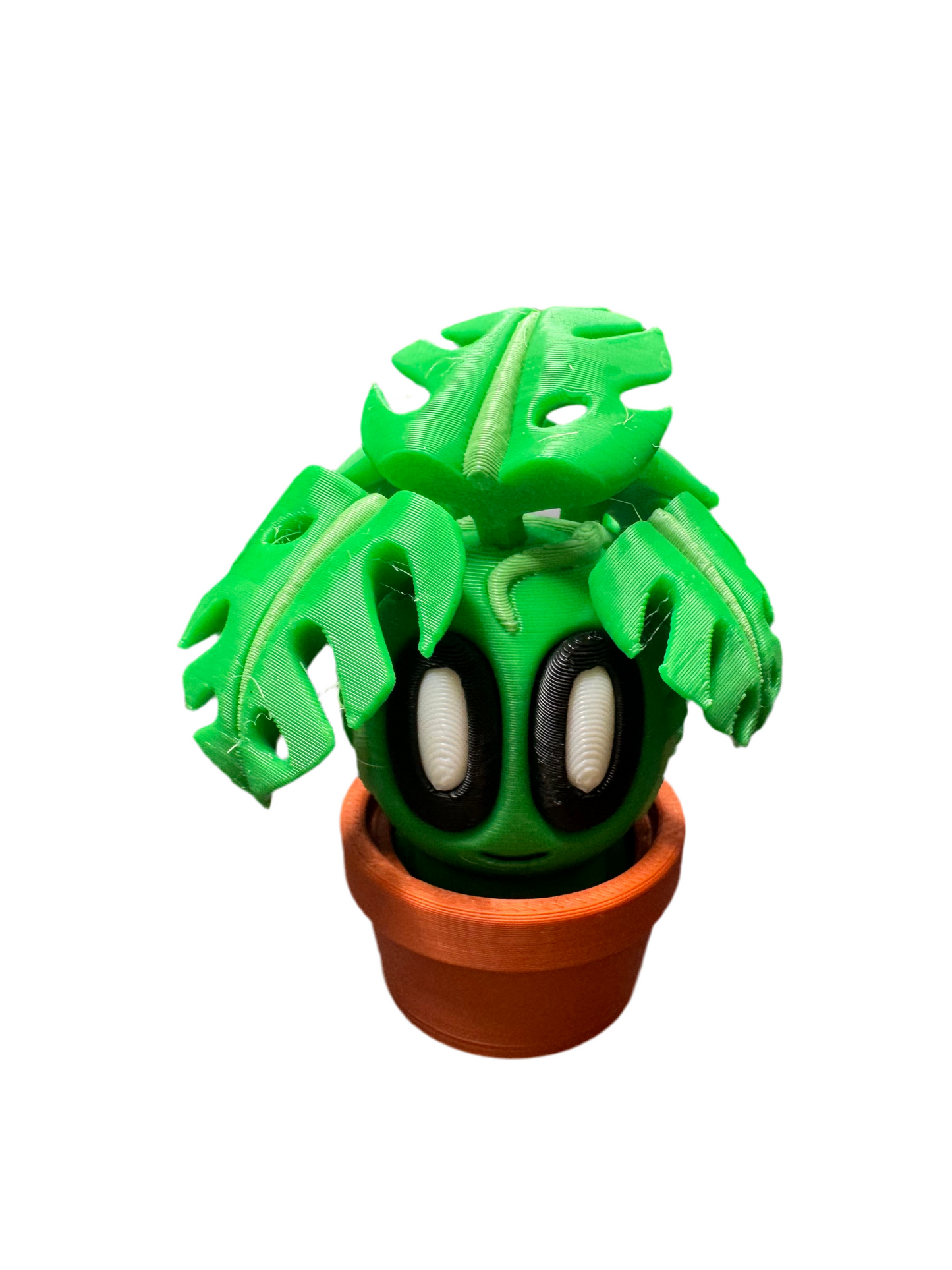 Bob Plants