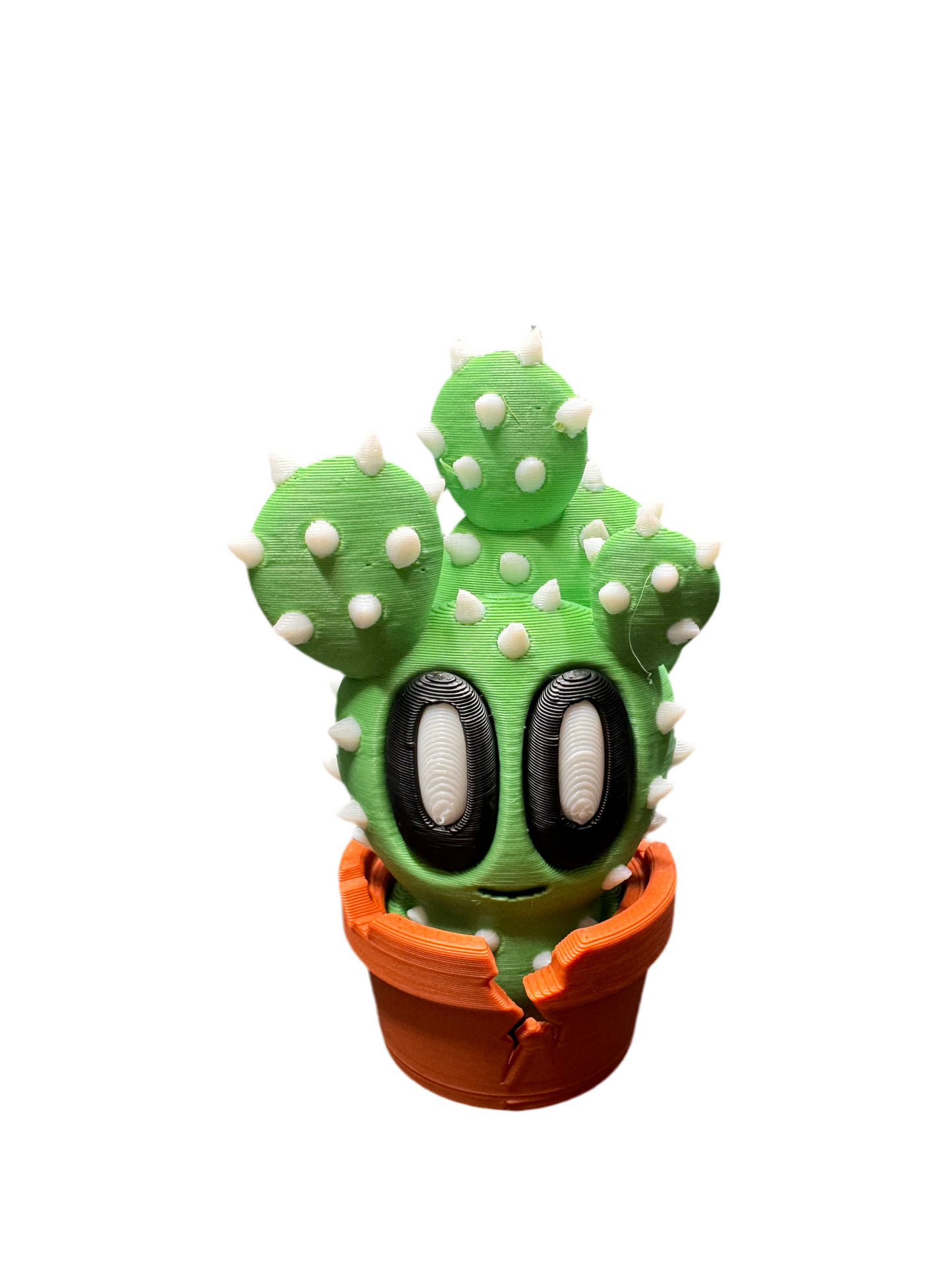 Bob Plants