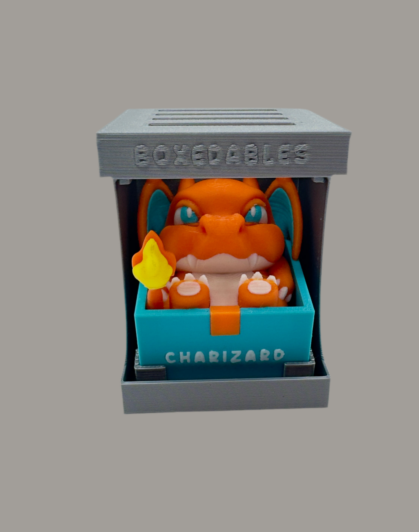 Boxed Chubby Pokemon