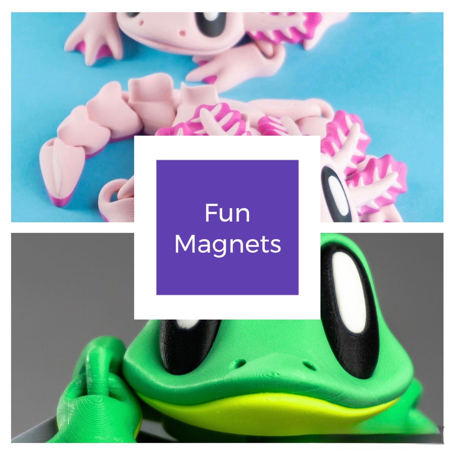 Fun And Functional Magnets