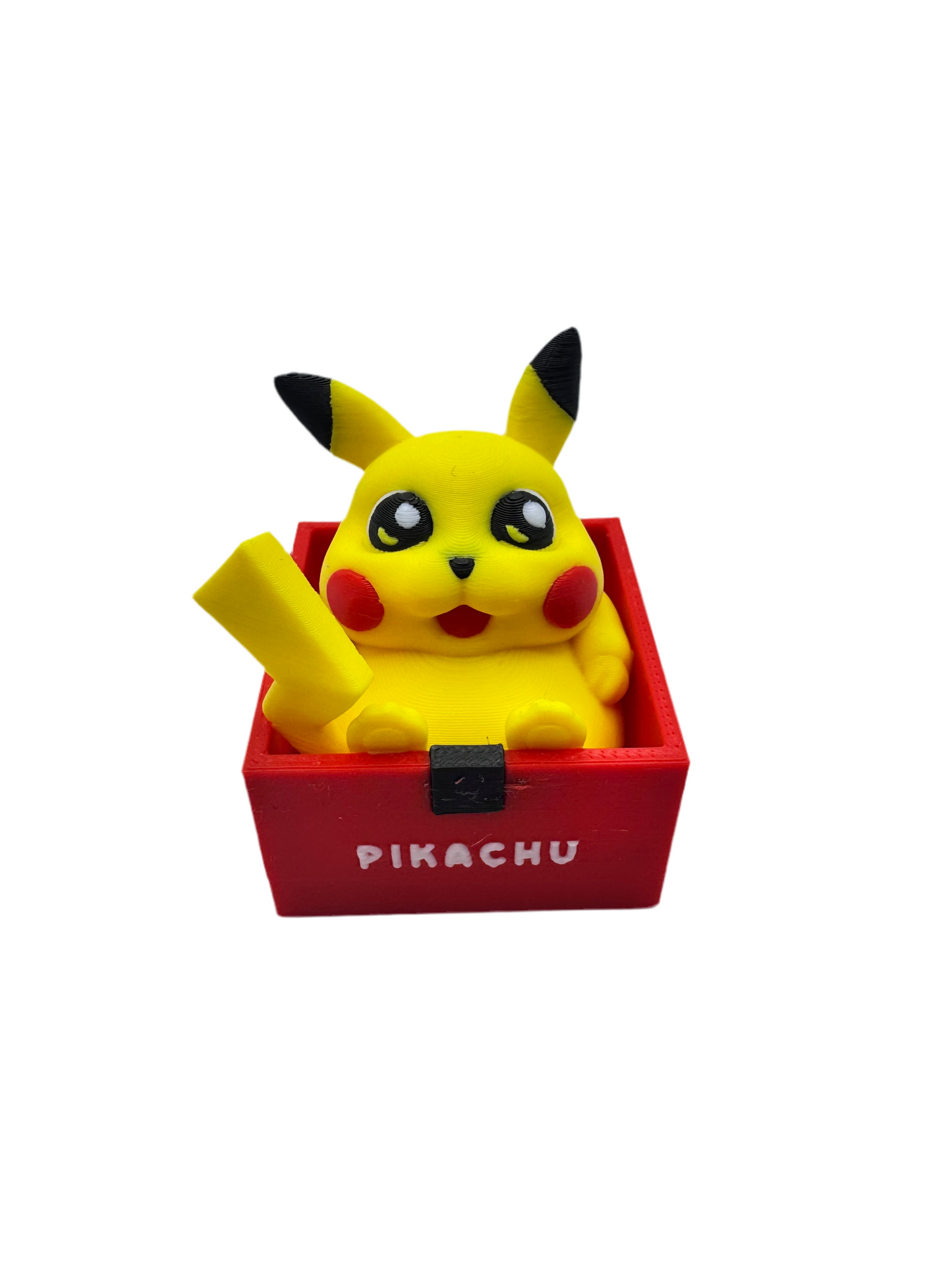 Boxed Chubby Pokemon