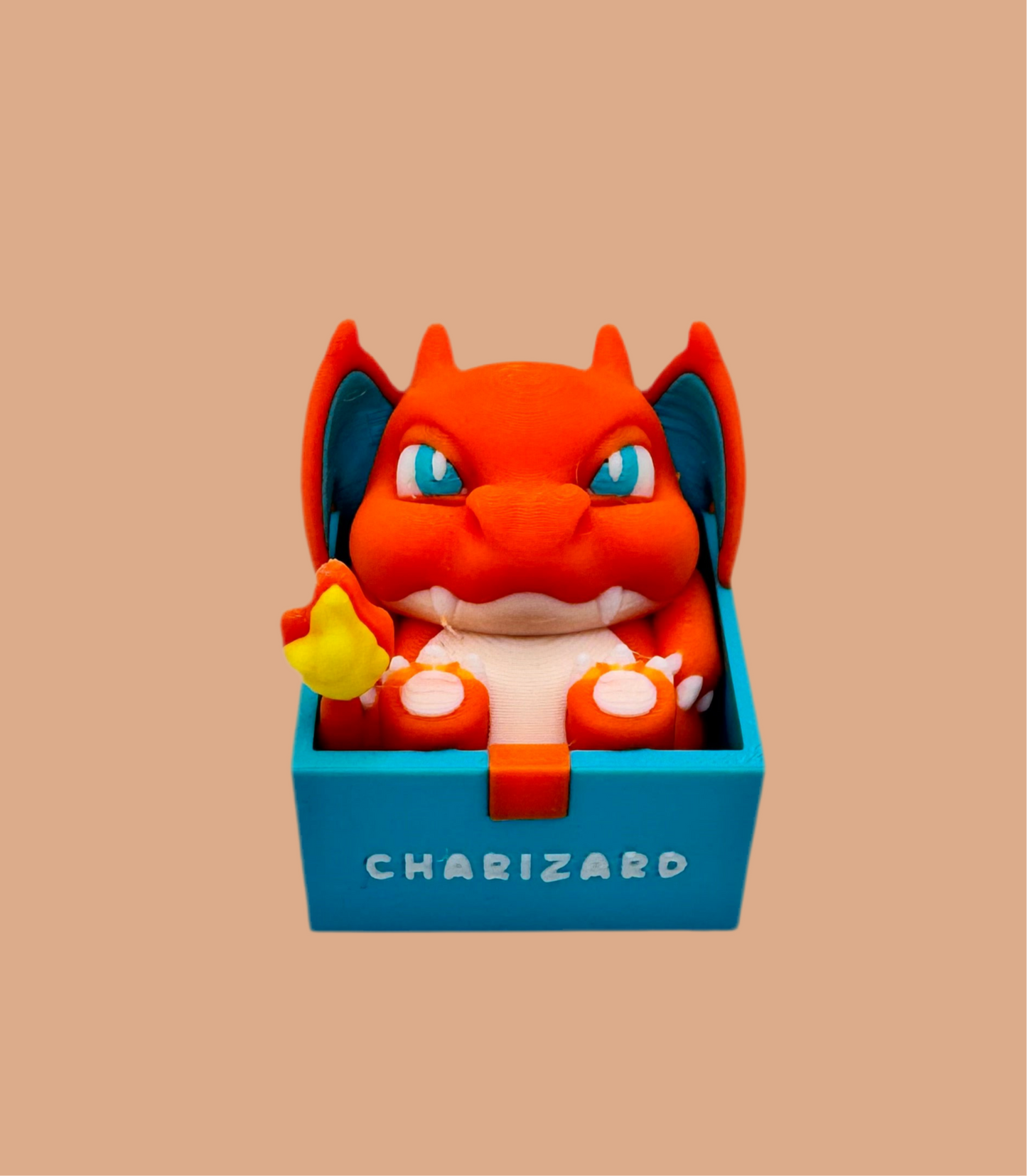 Boxed Chubby Pokemon