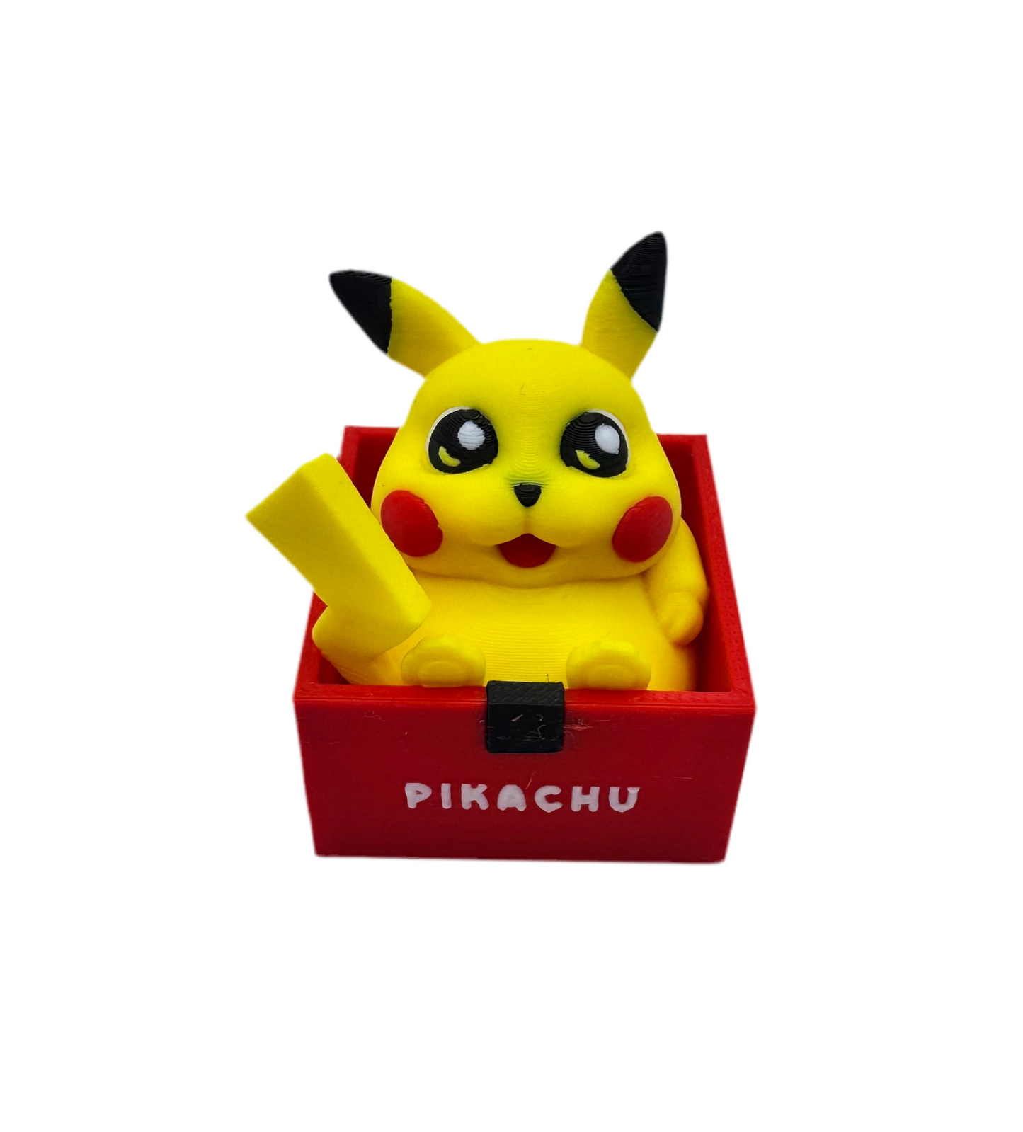 Boxed Chubby Pokemon