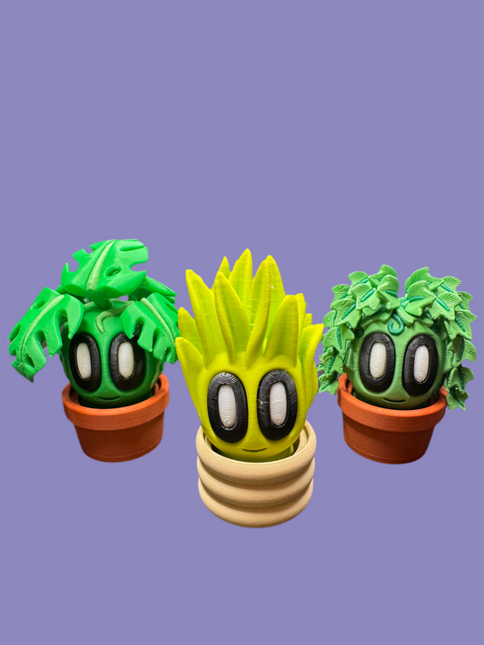 Bob Plants