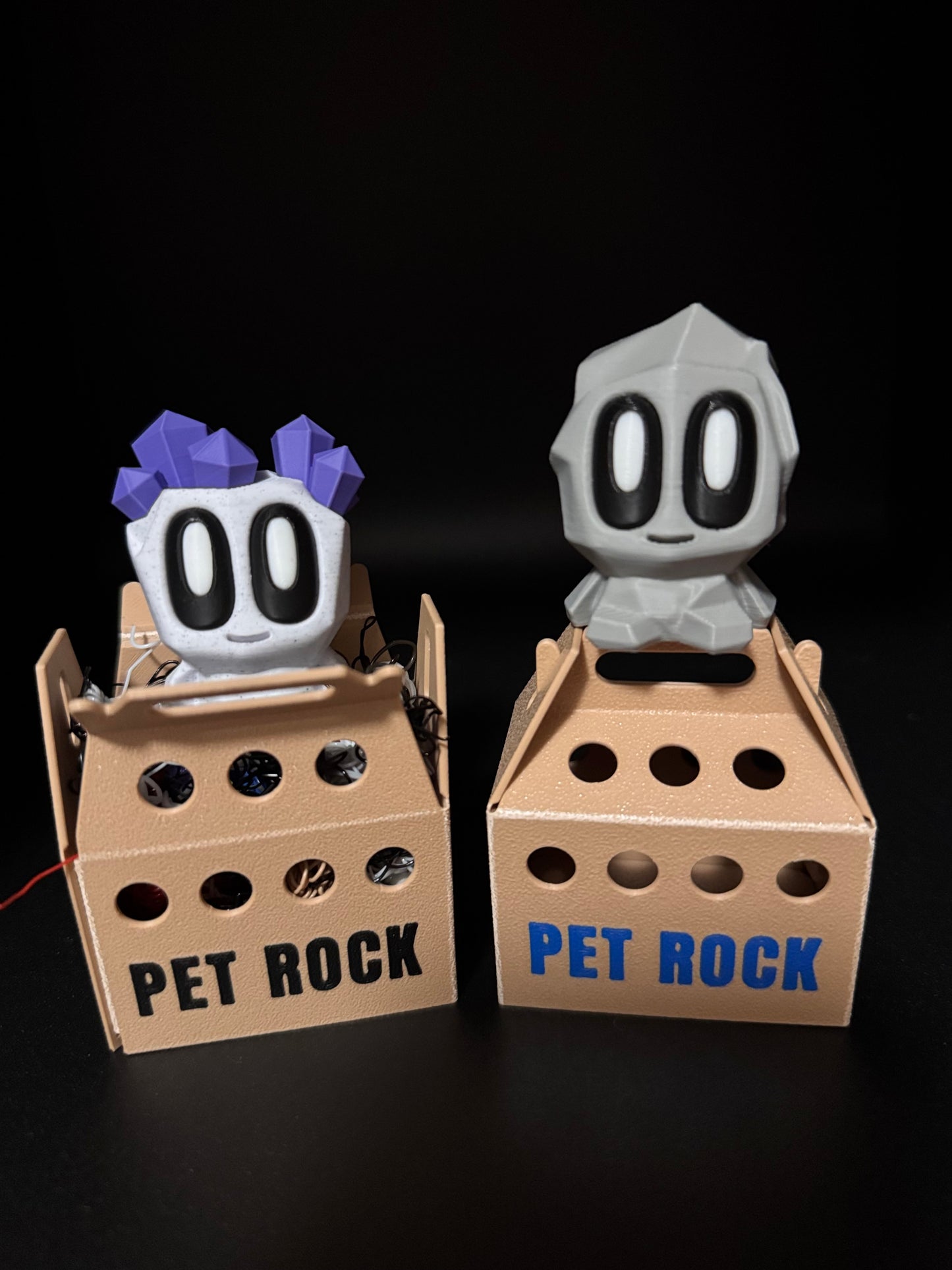 Pet Rocks