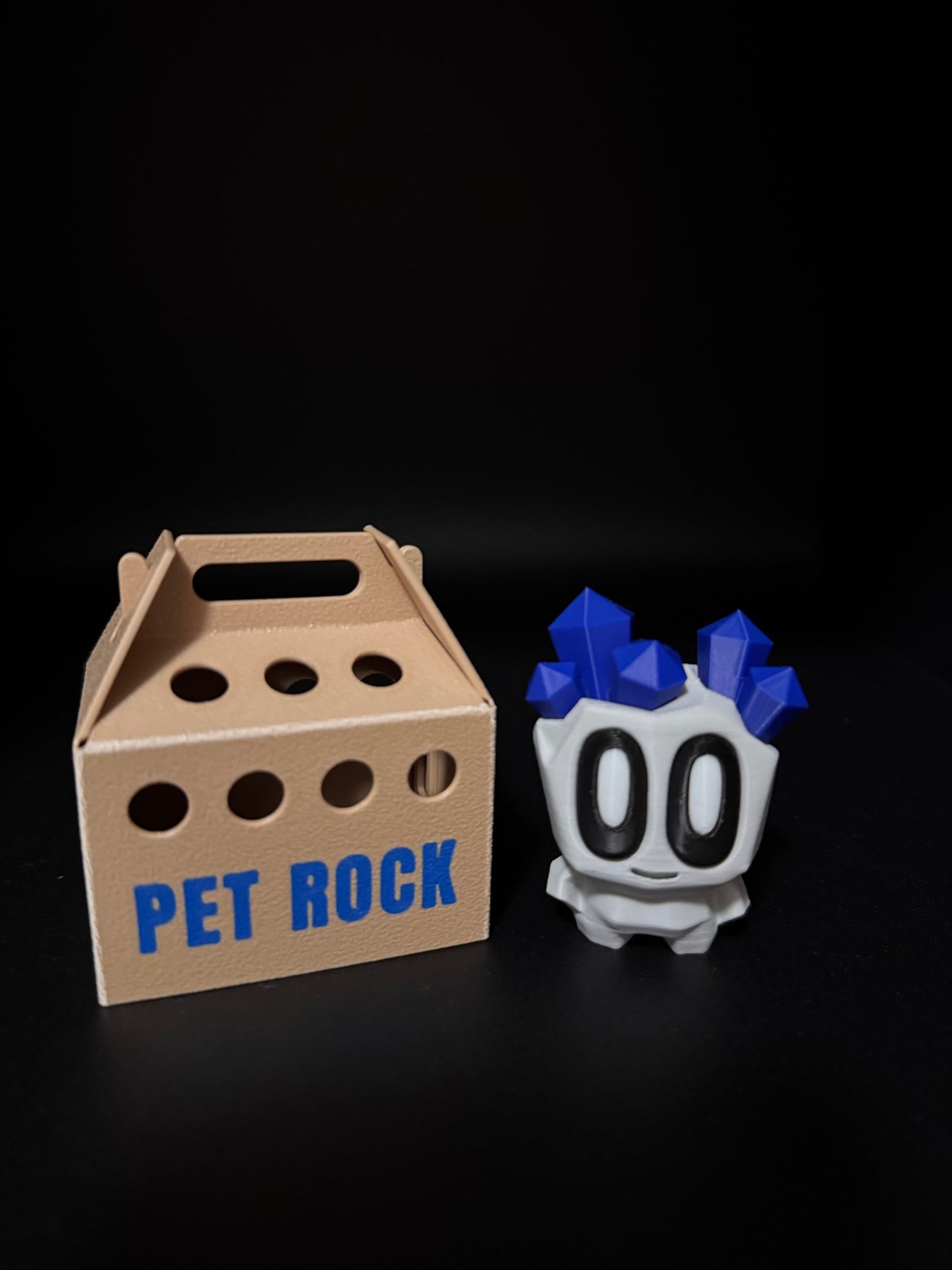 Pet Rocks
