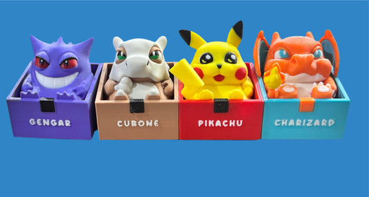 Boxed Chubby Pokemon
