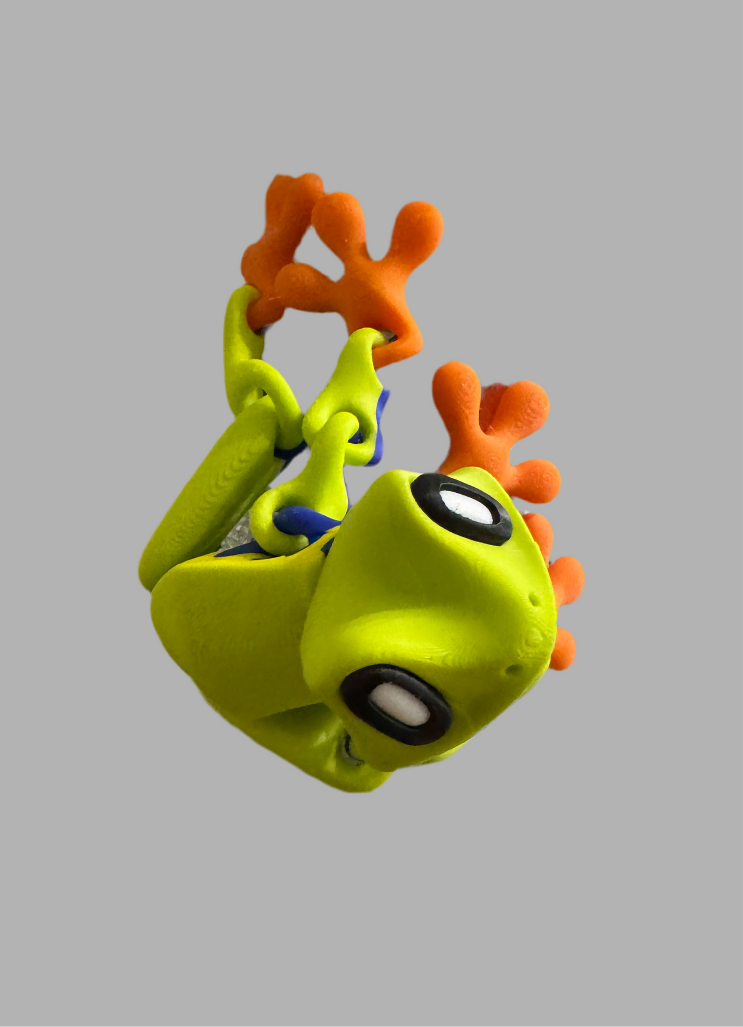 Frog Magnetic