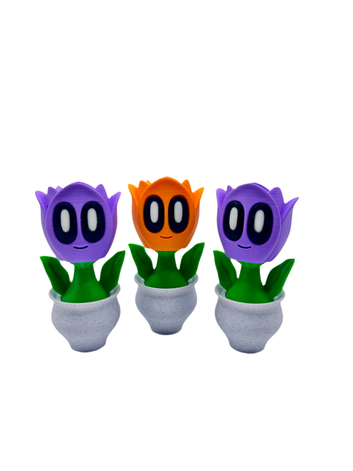 Spring Flowers
