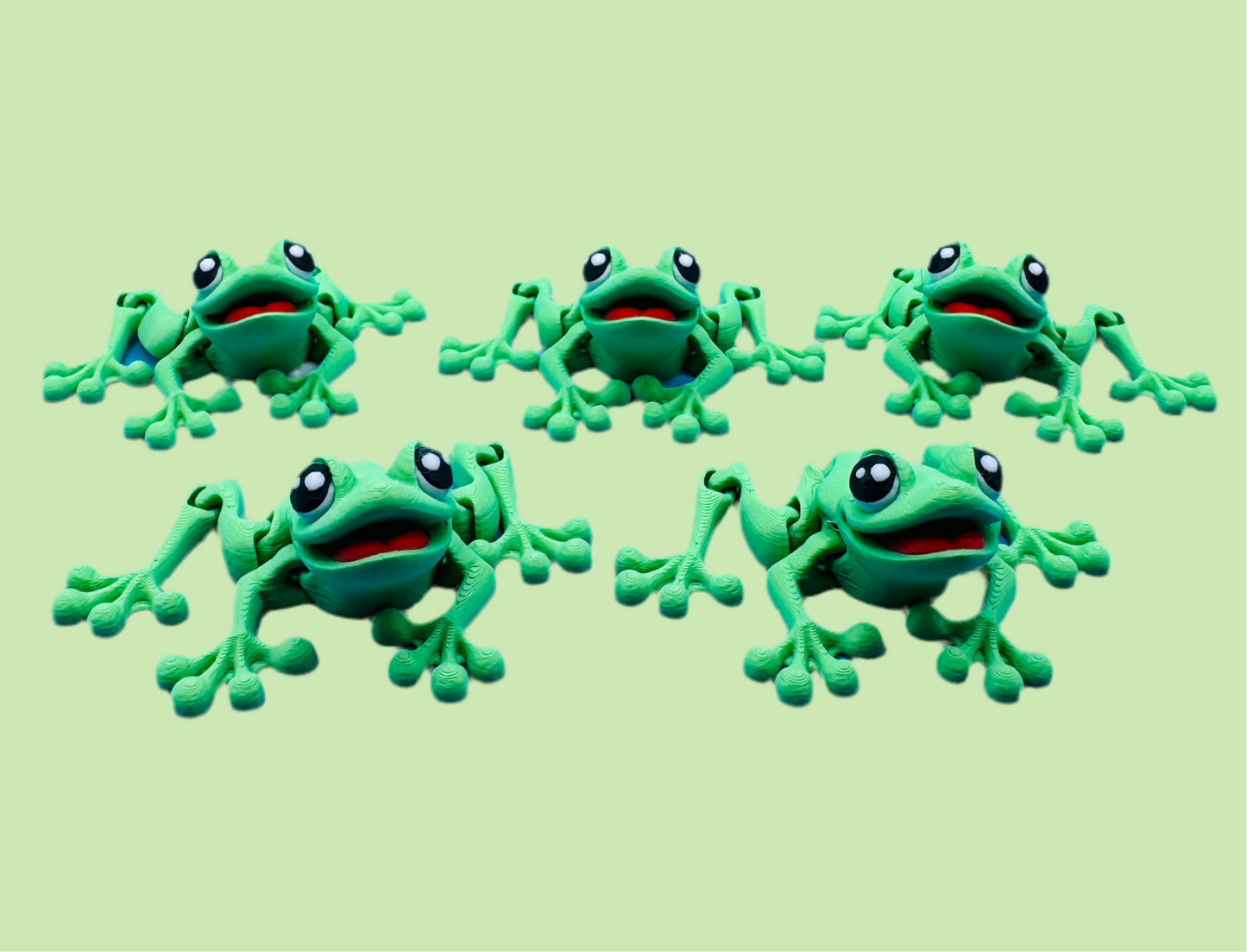 Frog Magnetic Small