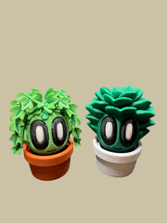 Bob Plants