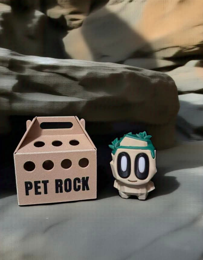Pet Rocks