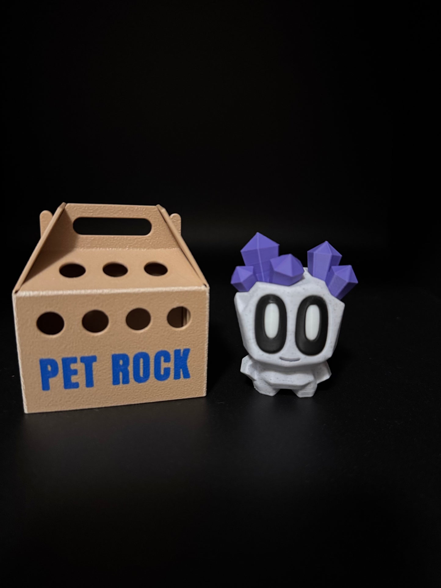 Pet Rocks