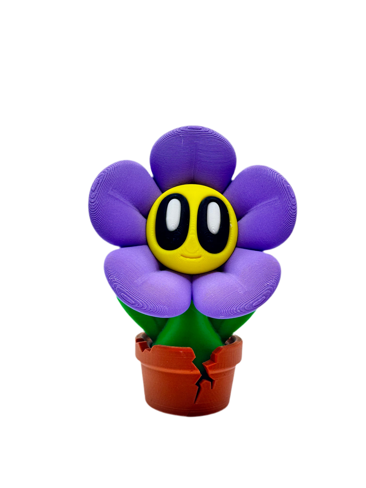 Spring Flowers