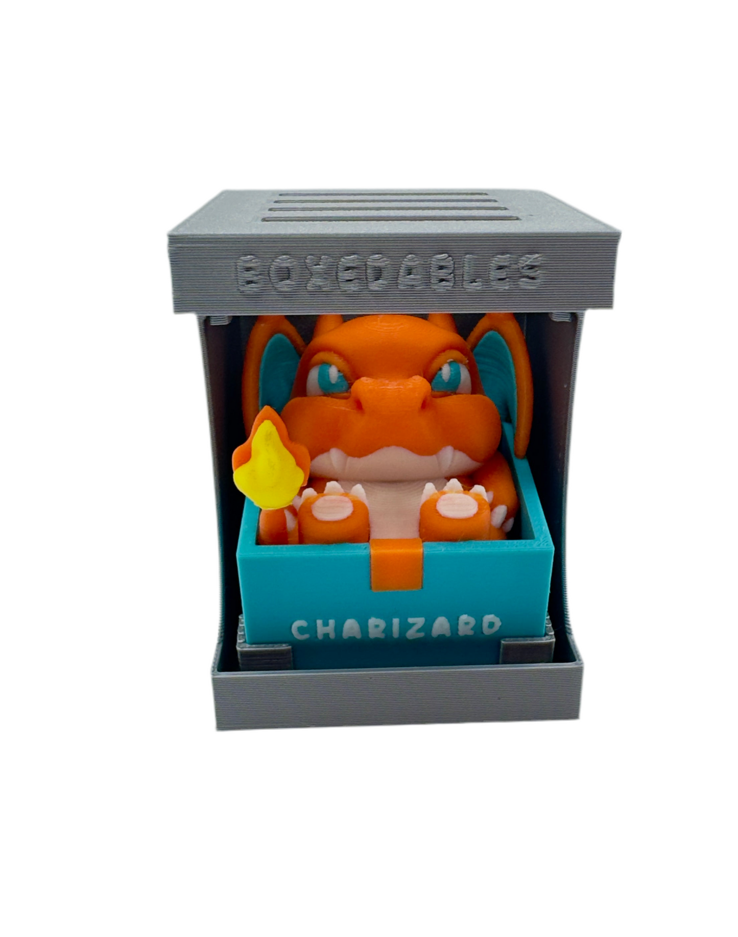 Boxed Chubby Pokemon
