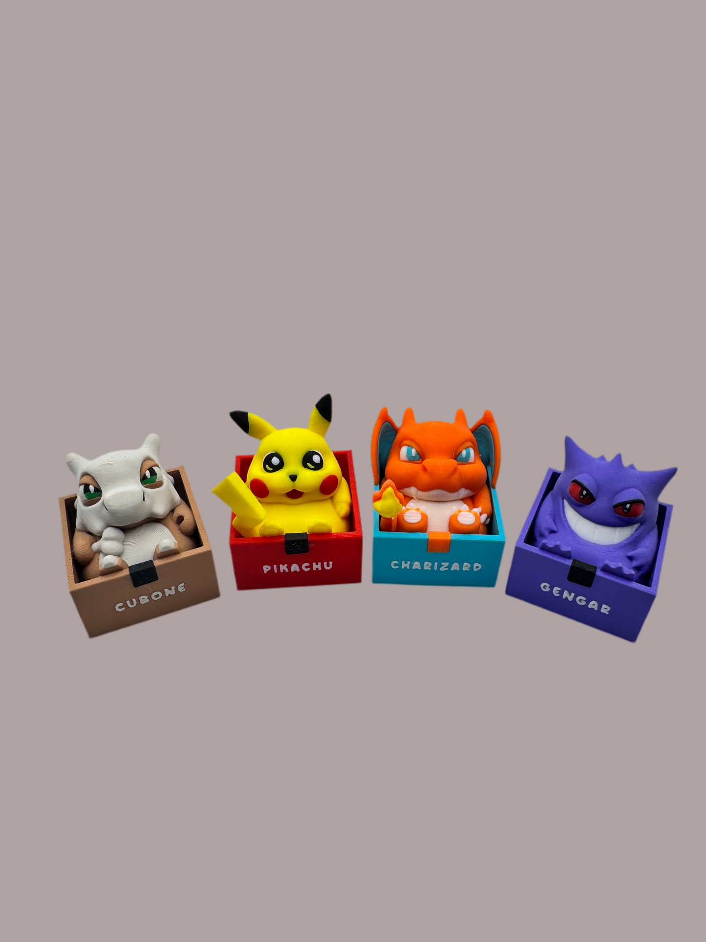 Boxed Chubby Pokemon